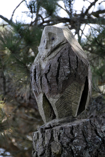Carved owl 
