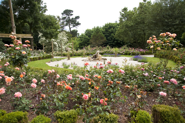 Trewithen Rose Garden