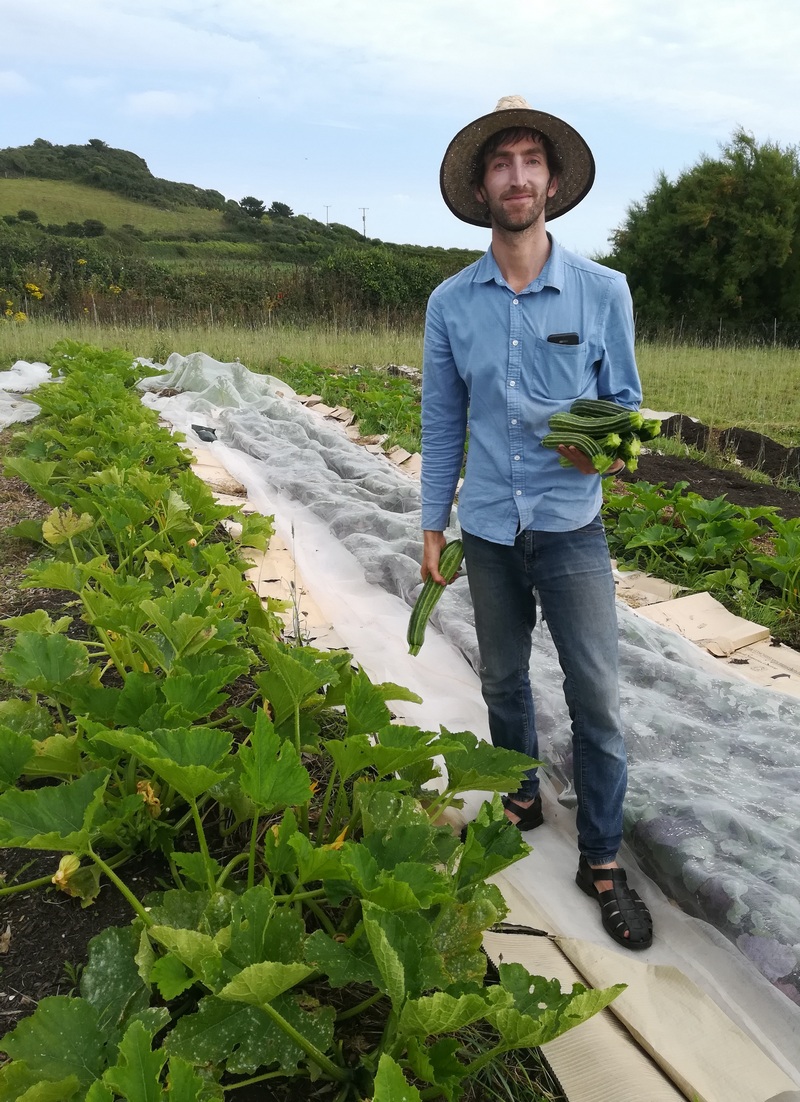 A man holding freshly-picked courgettes in a field with other crops waiting to be harvested, some covered in white fleece.